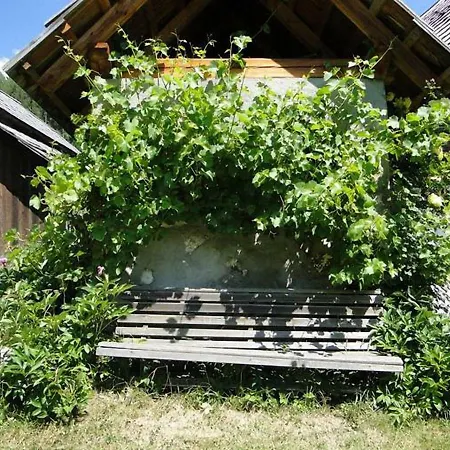 Bauernhof Hatzlhof