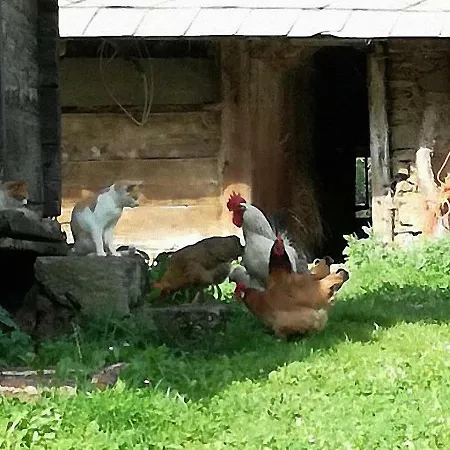 Bauernhof Hatzlhof * Schöder