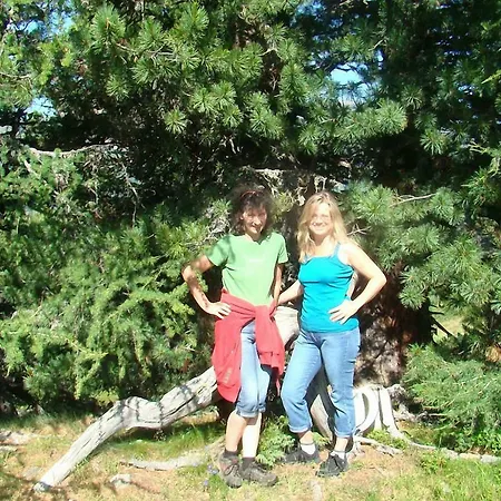 Bauernhof Hatzlhof בית חווה