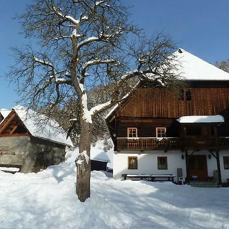 Bauernhof Hatzlhof * Шёдер
