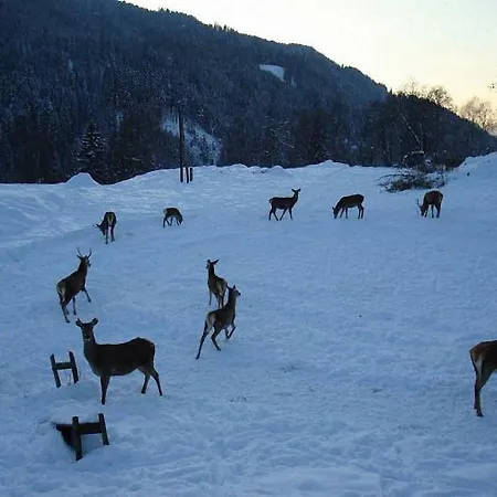 Alloggio per agriturismo Bauernhof Hatzlhof Schöder