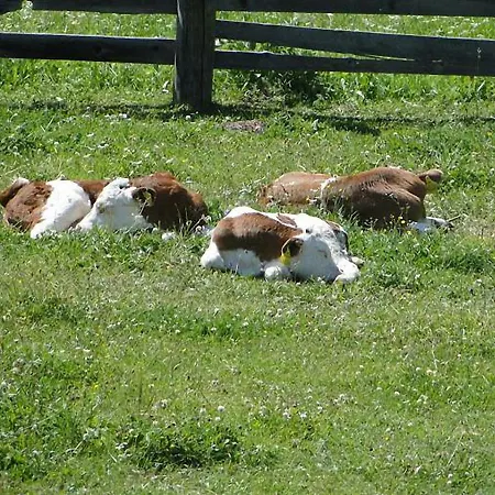 农家乐 Bauernhof Hatzlhof *