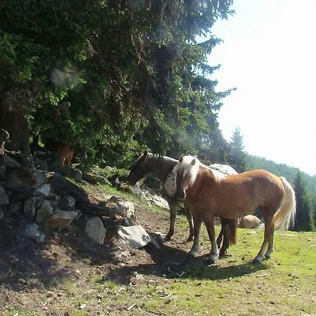 בית חווה Bauernhof Hatzlhof