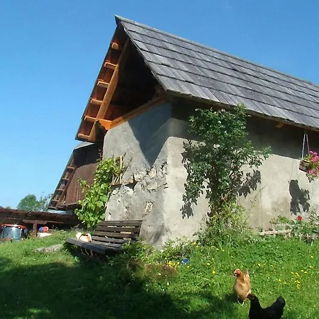 בית חווה Bauernhof Hatzlhof