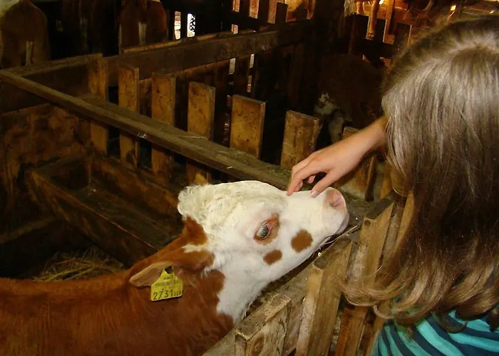 Bauernhof Hatzlhof Schoeder