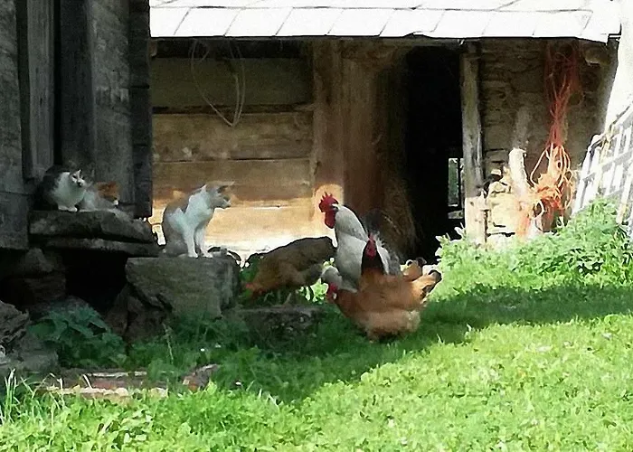Bauernhof Hatzlhof * Schoeder