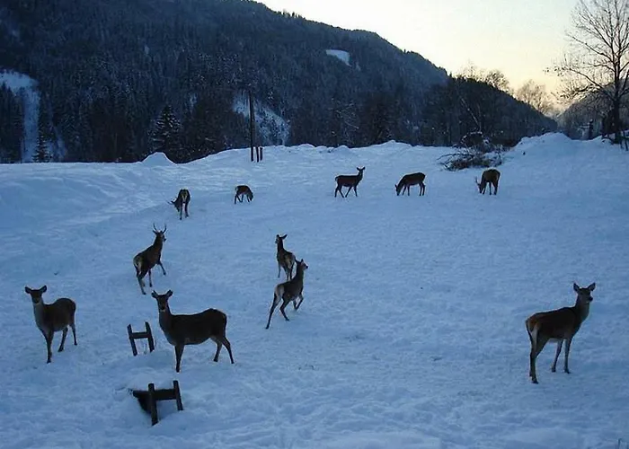 Lantgård Bauernhof Hatzlhof Schöder