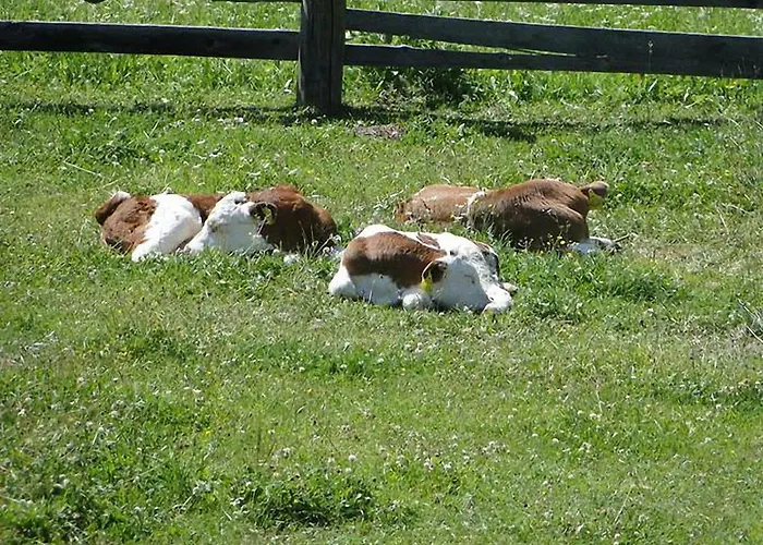Farm stay Bauernhof Hatzlhof *