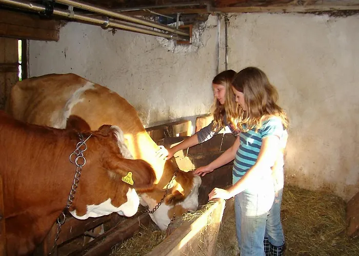 Bauernhof Hatzlhof * Schöder