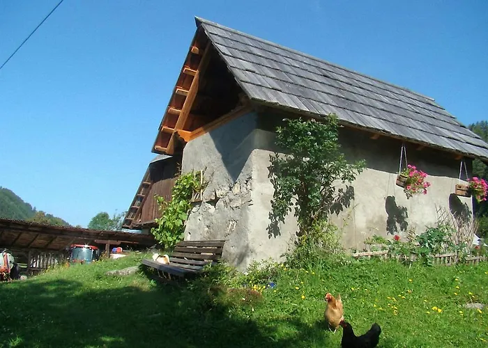 Lantgård Bauernhof Hatzlhof